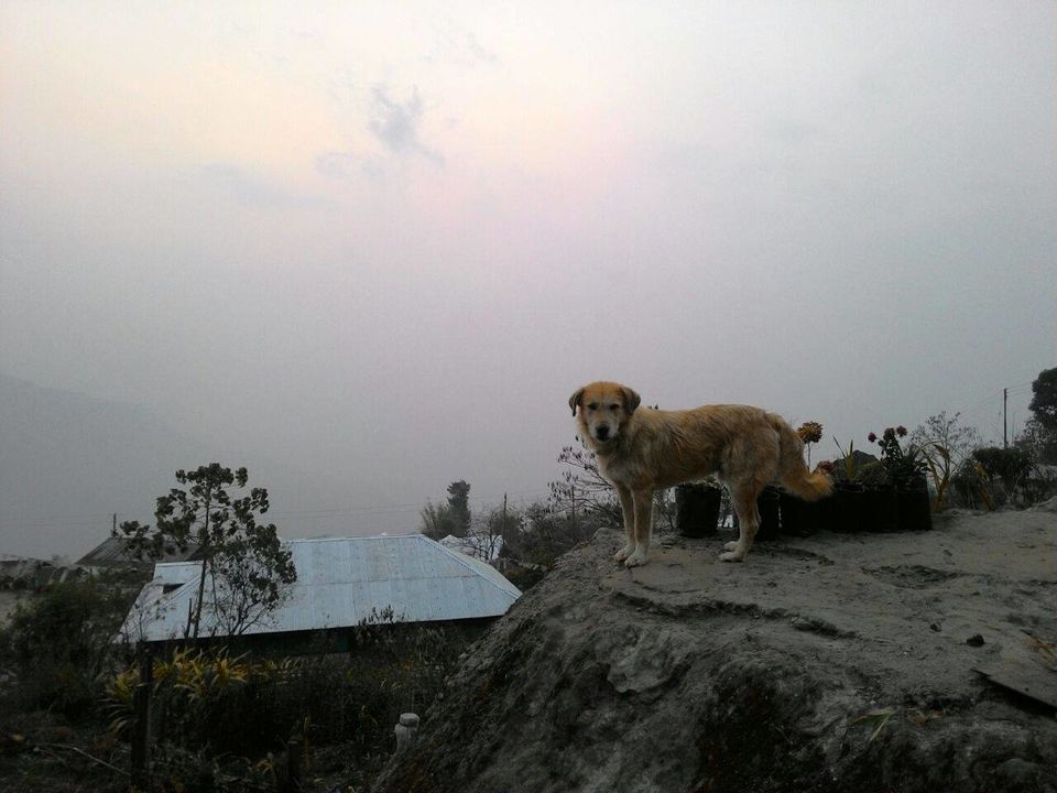 Photo of Sillery Gaon, West Bengal, India by Amartya Bag
