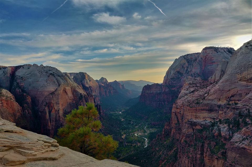 Photo of Angel's landing- Hiking on America's most dangerous trail by Shruti Sharma