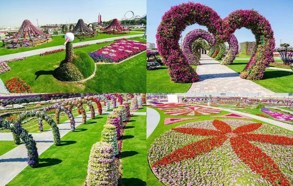 Photo of Dubai Miracle Garden - Arjan-Dubailand - Dubai - United Arab Emirates by Gandharv Sharma