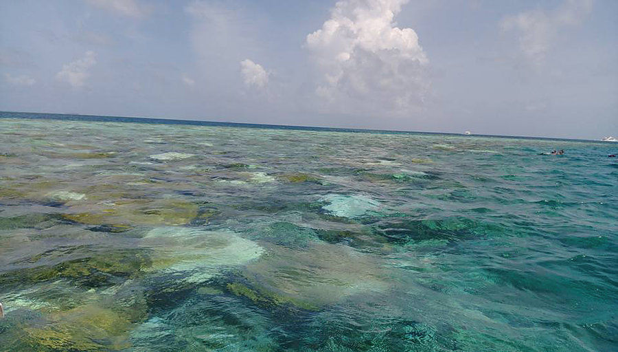 Photo of Maldives- Paradise of pristine beaches in budget 16/36 by Harini Reddy