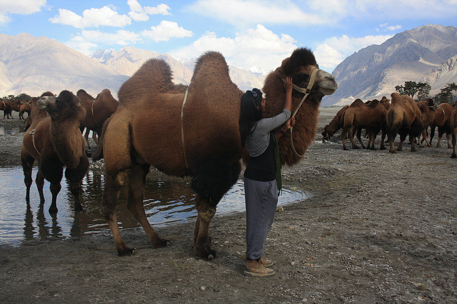 Photo of Ladakh- My dream destination via Taj Mahal 19/27 by Harini Reddy