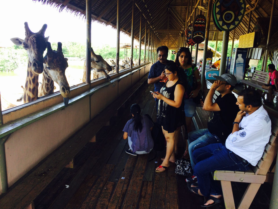 Photo of Splendid Bangkok & Phuket by Priyanka Gupta