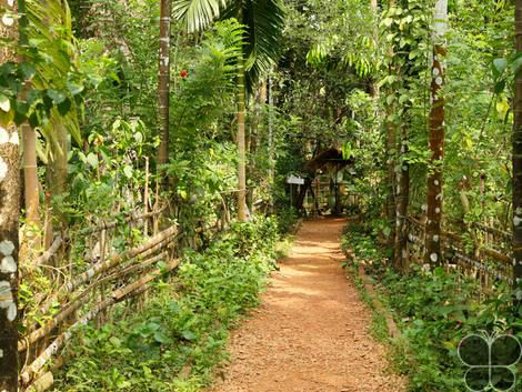 Photo of Goa like never before- 5 days best itinerary by Priyanka Gupta
