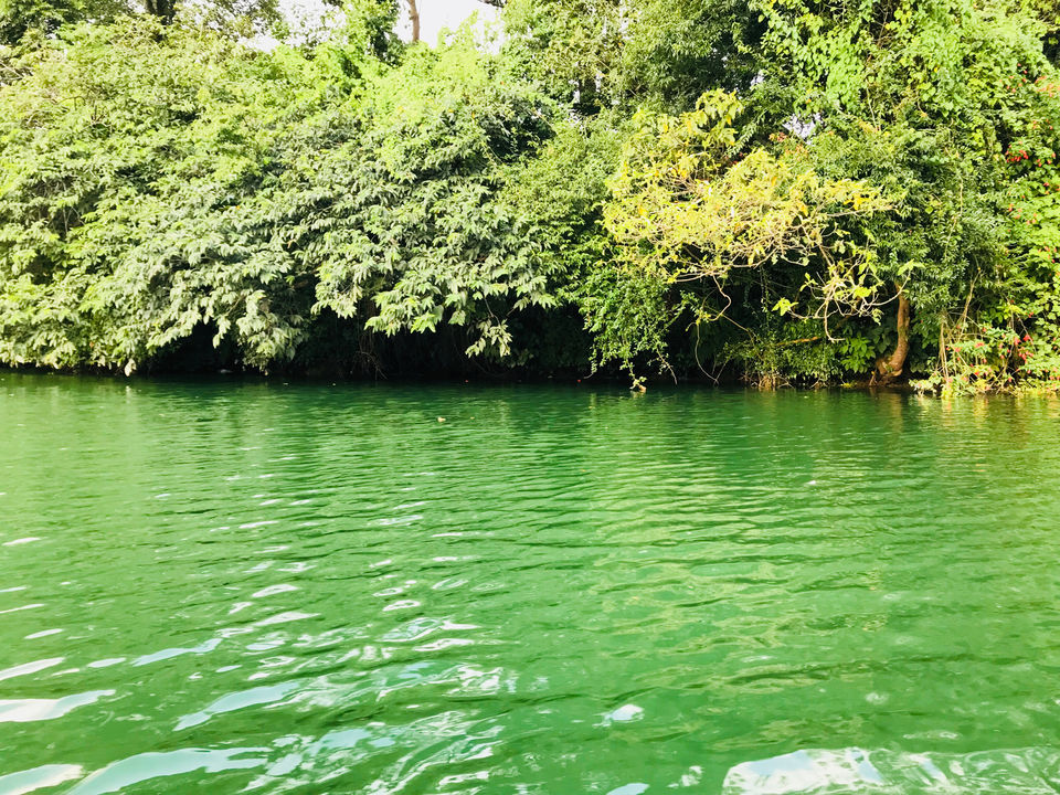 Photo of My adventurous trip to Pokhara – NEPAL – Perfect 3 days break by Priyanka Gupta