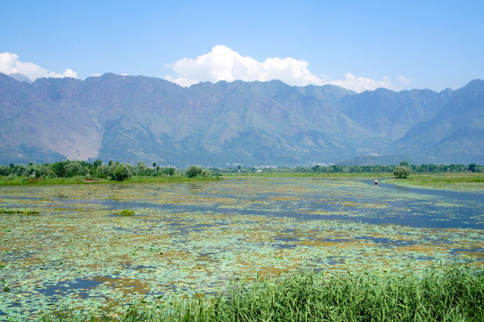 Photo of Dal Lake by Jo Adores