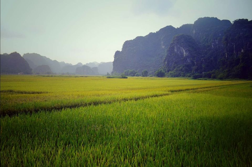 Photo of Voyage to Vietnam by Amit Kumar