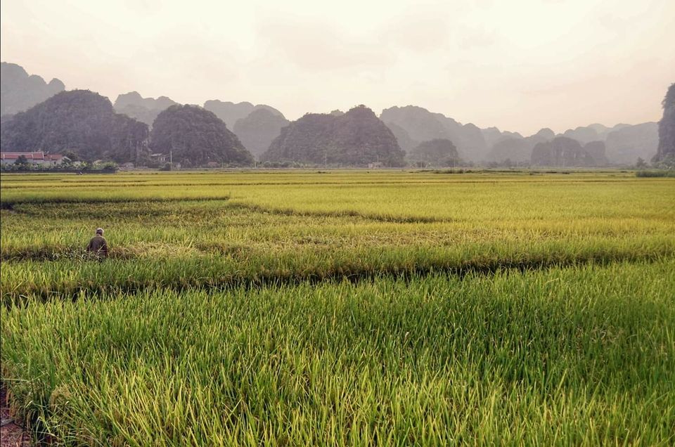 Photo of Voyage to Vietnam by Amit Kumar