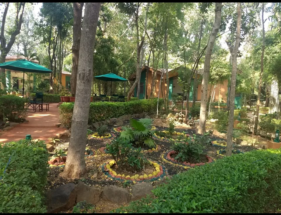 Photo of Bandhavgarh National Park by Amit Kumar