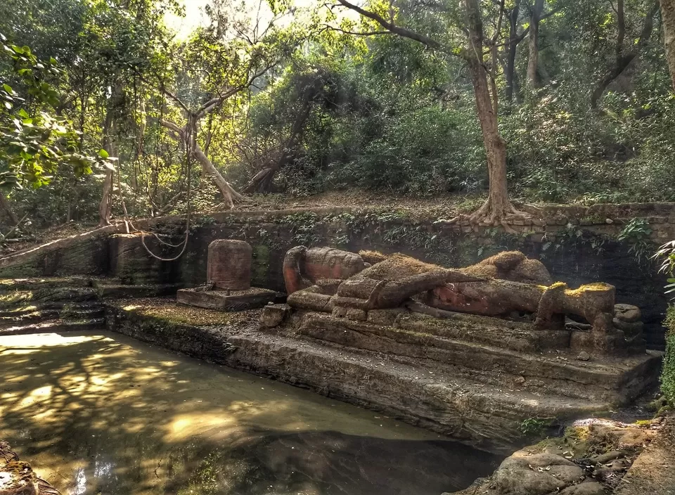 Photo of Lord Vishnu idol of 9th B.C in mid of jungle with highest number of tiger in sanctuary #wildlife by Amit Kumar