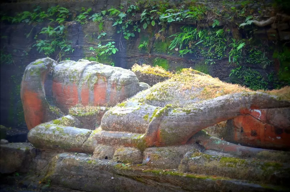 Photo of Lord Vishnu idol of 9th B.C in mid of jungle with highest number of tiger in sanctuary #wildlife by Amit Kumar