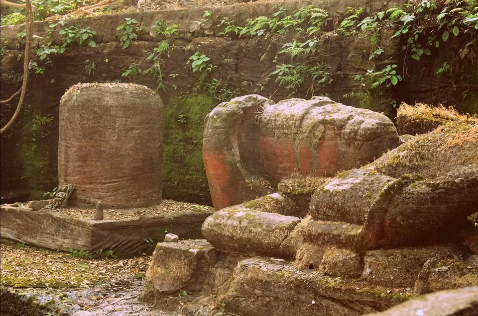 Photo of Lord Vishnu idol of 9th B.C in mid of jungle with highest number of tiger in sanctuary #wildlife by Amit Kumar