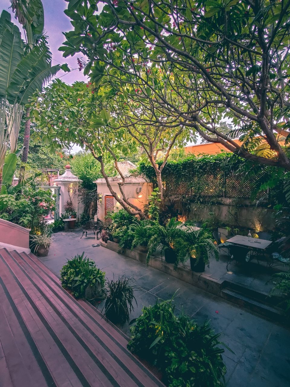Photo of Coromandel Cafe by Amit Kumar