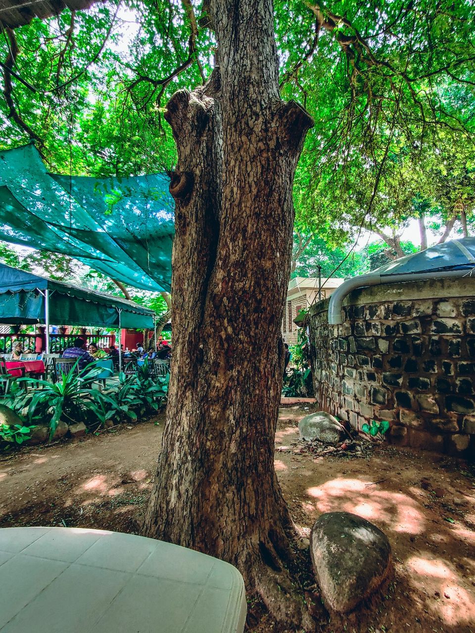 Photo of Tanto Pizzeria by Amit Kumar