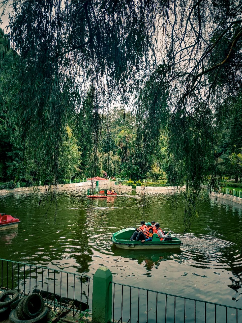 Photo of Sim's Park, Coonoor by Amit Kumar