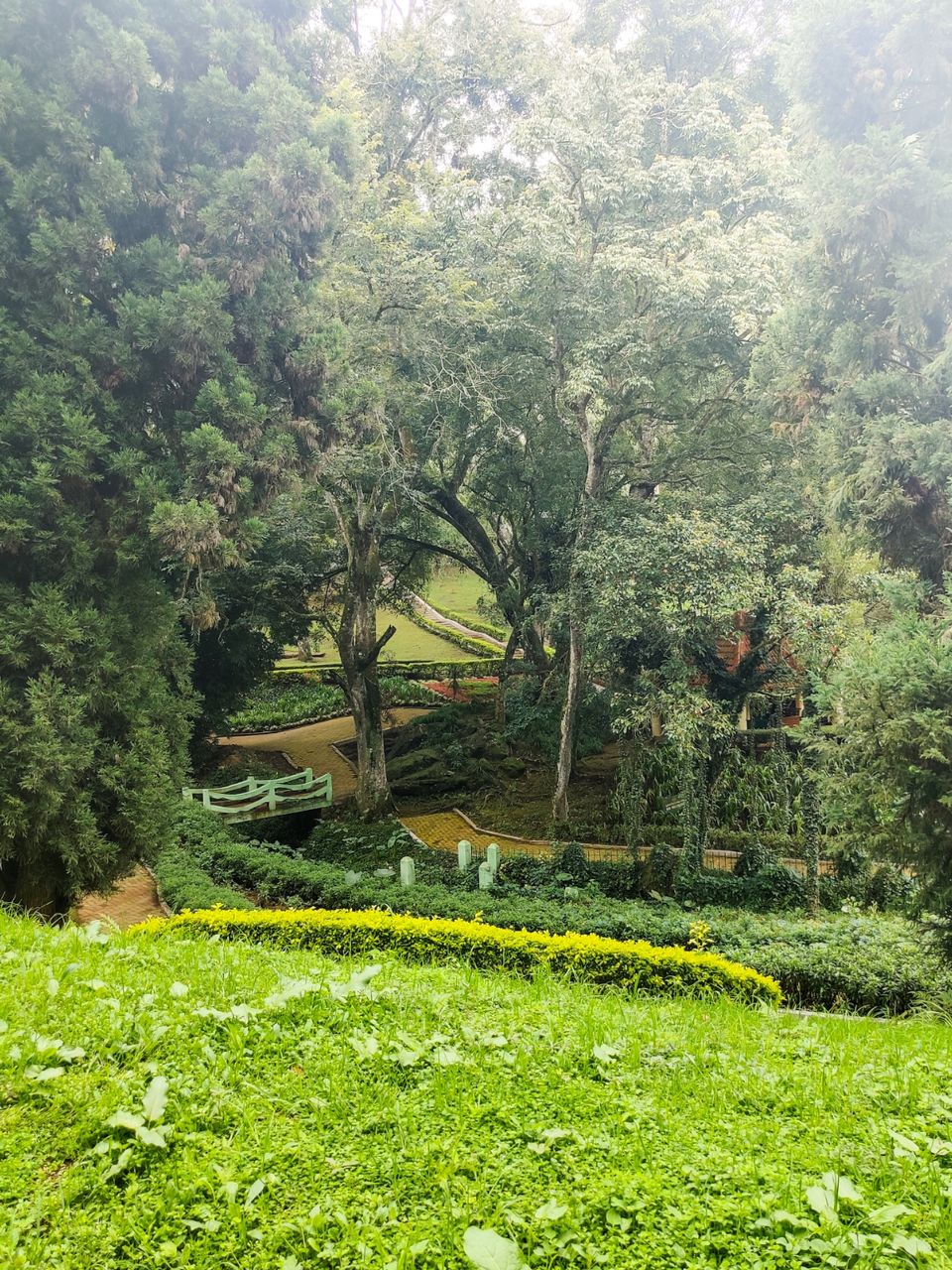 Photo of Sim's Park, Coonoor by Amit Kumar