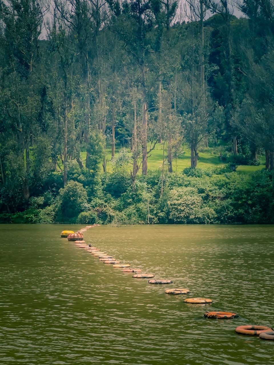 Photo of Ooty by Amit Kumar