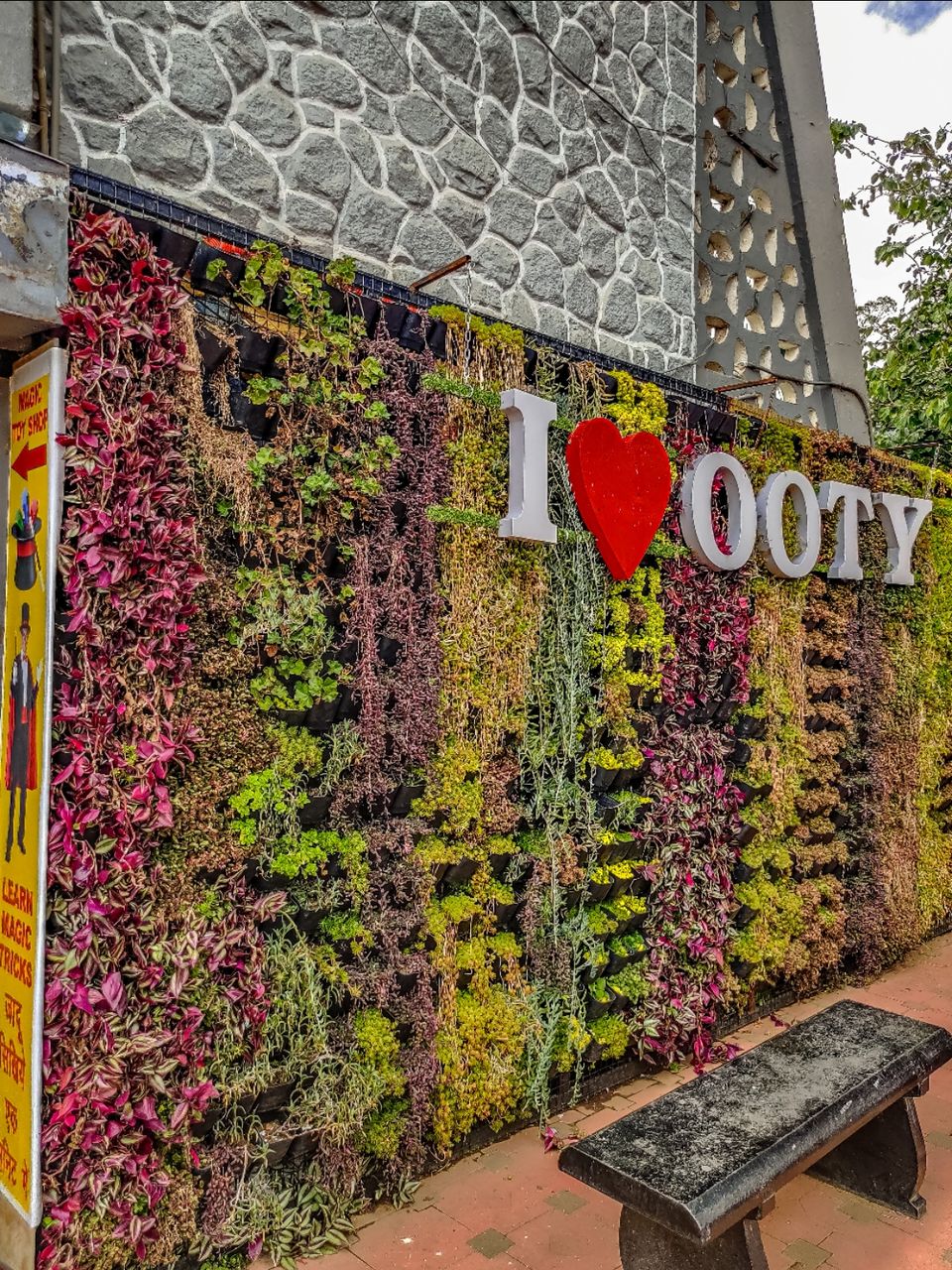 Photo of Ooty by Amit Kumar
