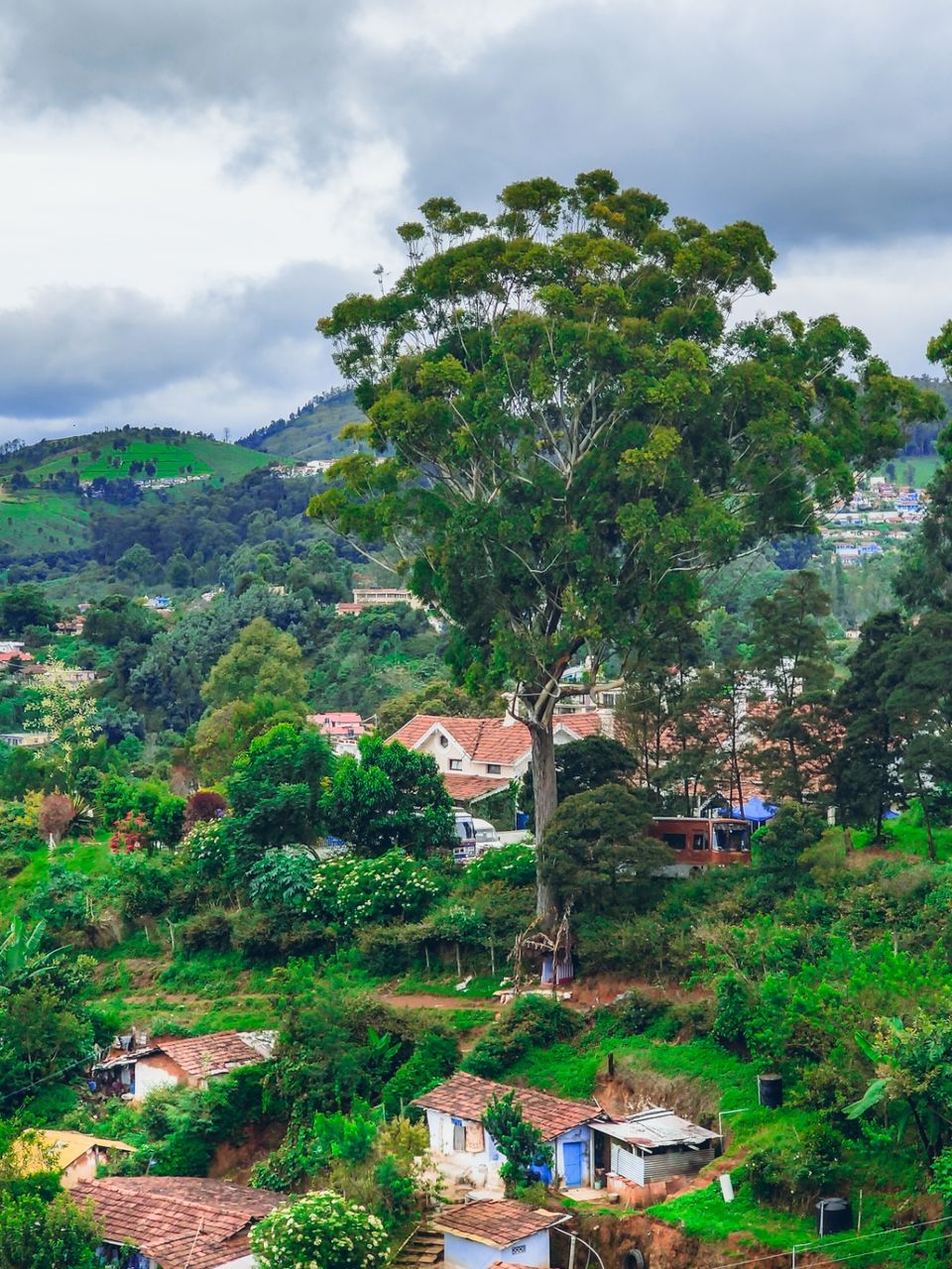Photo of Dodabetta Road by Amit Kumar