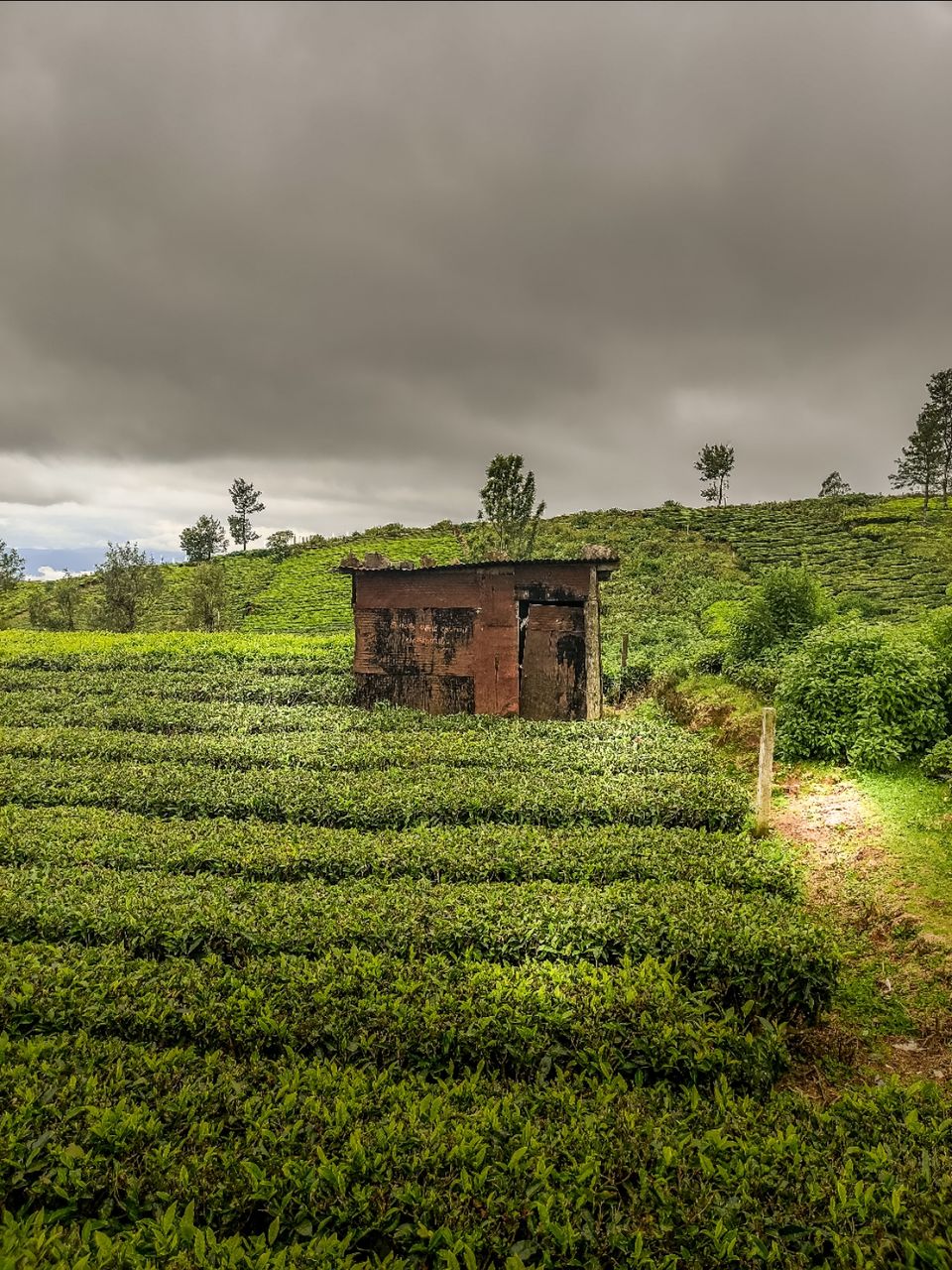 Photo of Dodabetta Road by Amit Kumar