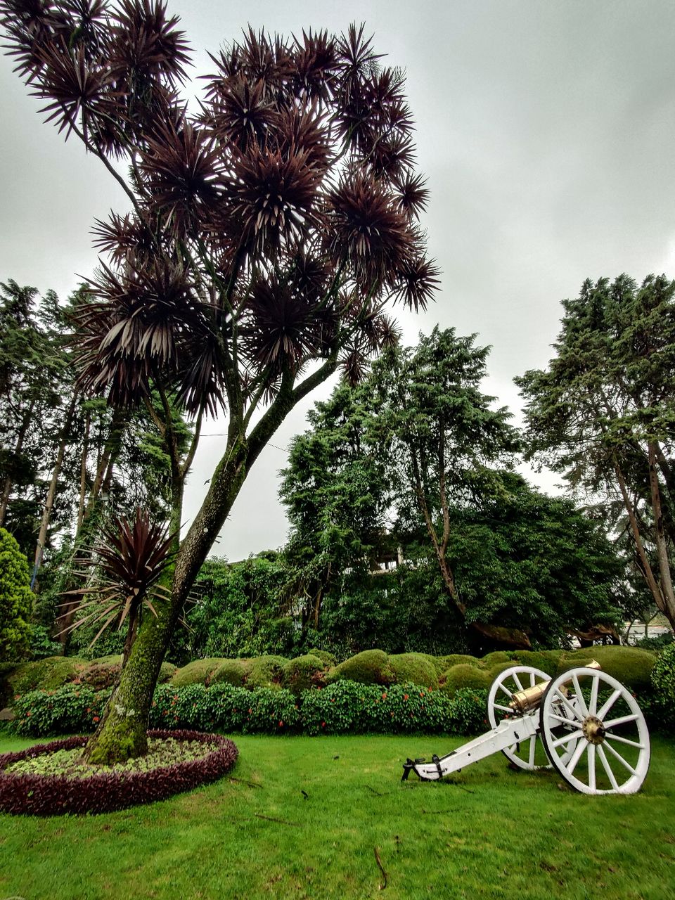 Photo of Government Botanical Garden by Amit Kumar