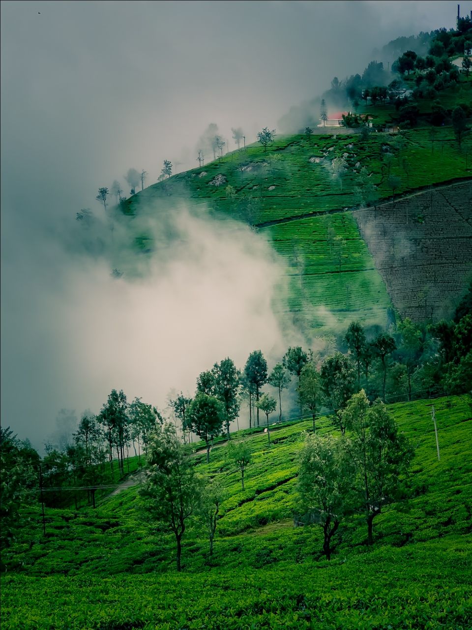 Photo of Ooty by Amit Kumar