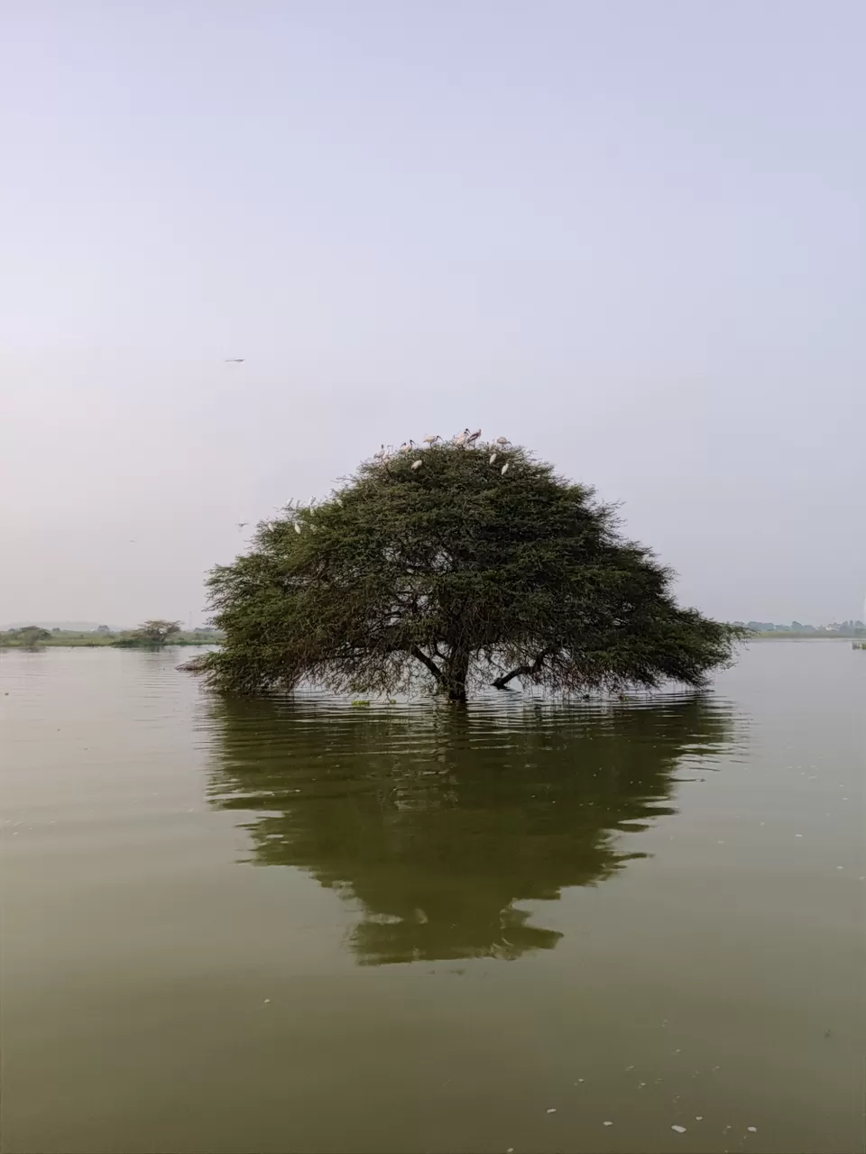 Photo of Bhigwan a paradise for bird lovers by Amit Kumar