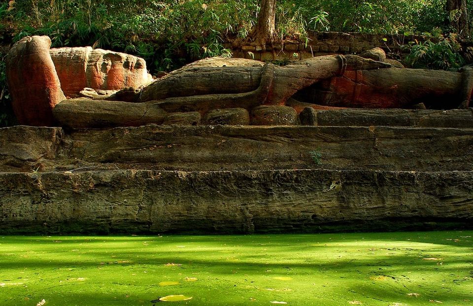 Photo of Lord Vishnu idol of 9th B.C in mid of jungle with highest number of tiger in sanctuary #wildlife by Amit Kumar