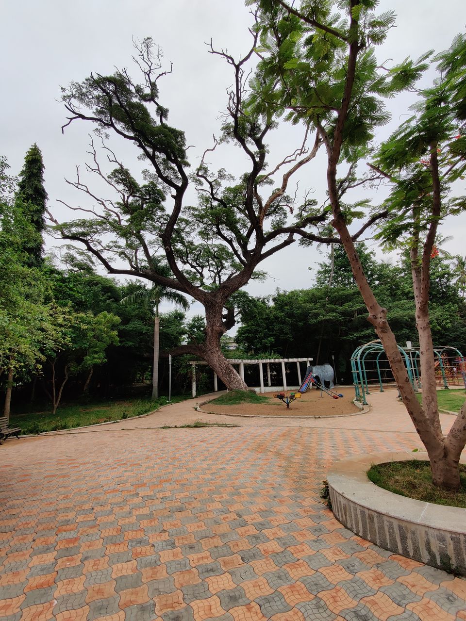 Photo of Botanical Garden, Maraimalai Adigal Salai, Near Anna Statue, Ambedkar Nagar, Orleanpet, Pondicherry, Puducherry, India by Amit Kumar
