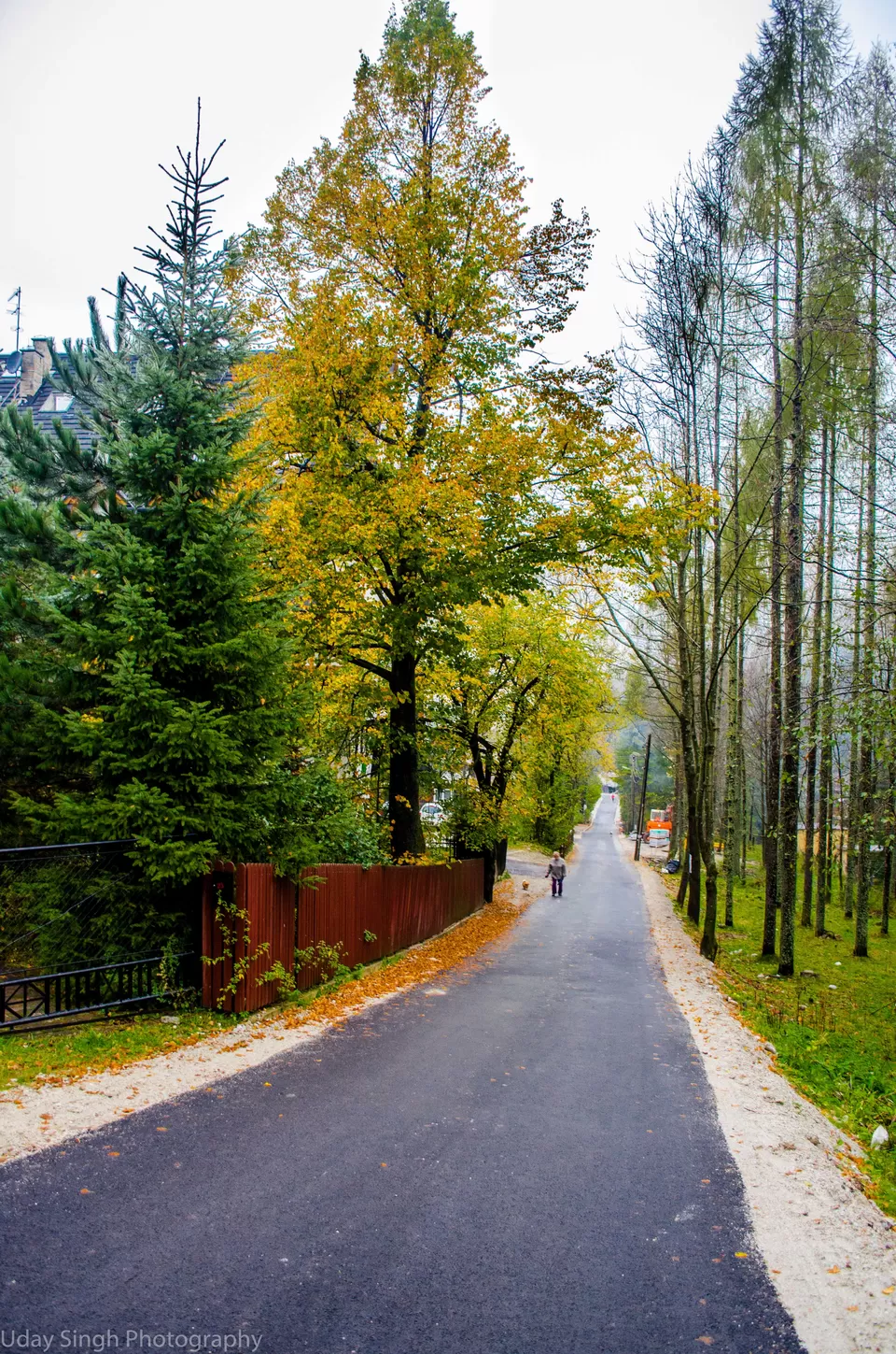 Photo of Zakopane, Poland by uday singh