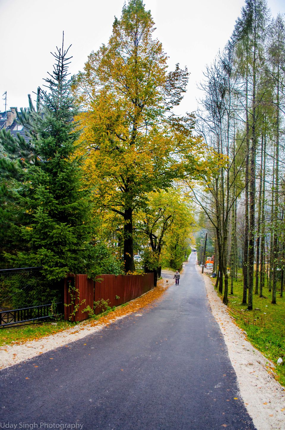 Photo of Poland – Budget friendly and amazingly beautiful 8/9 by uday singh