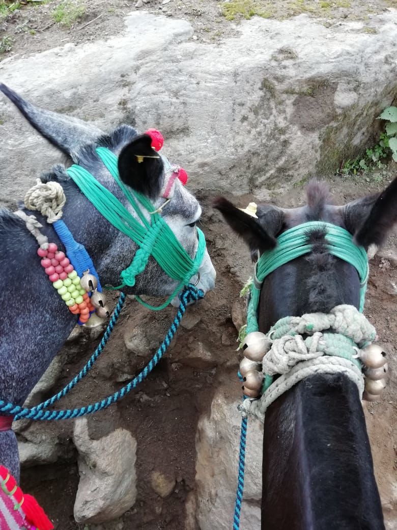 Photo of Sonprayag, Uttarakhand, India by Shweta Mittal Ranjan