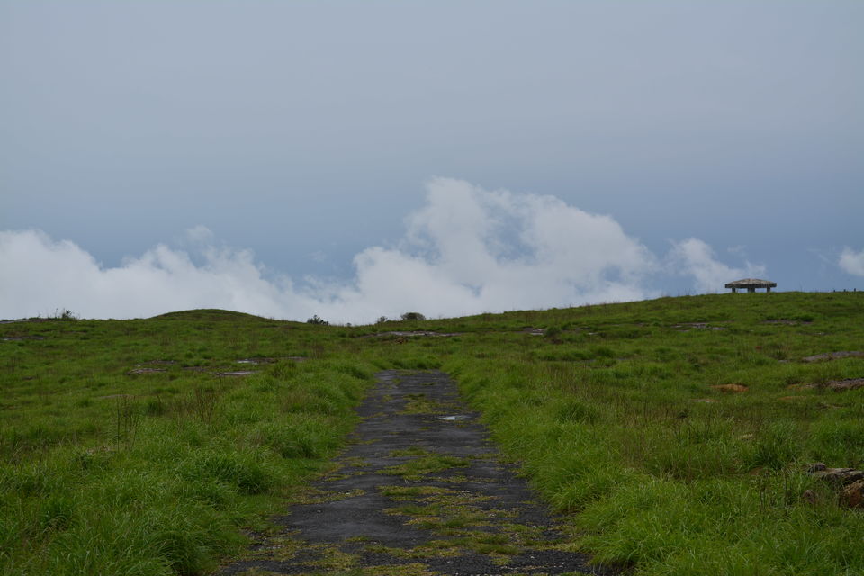 Photo of Mystical Meghalaya- journey that takes you through clouds 4/5 by Pragya Singh