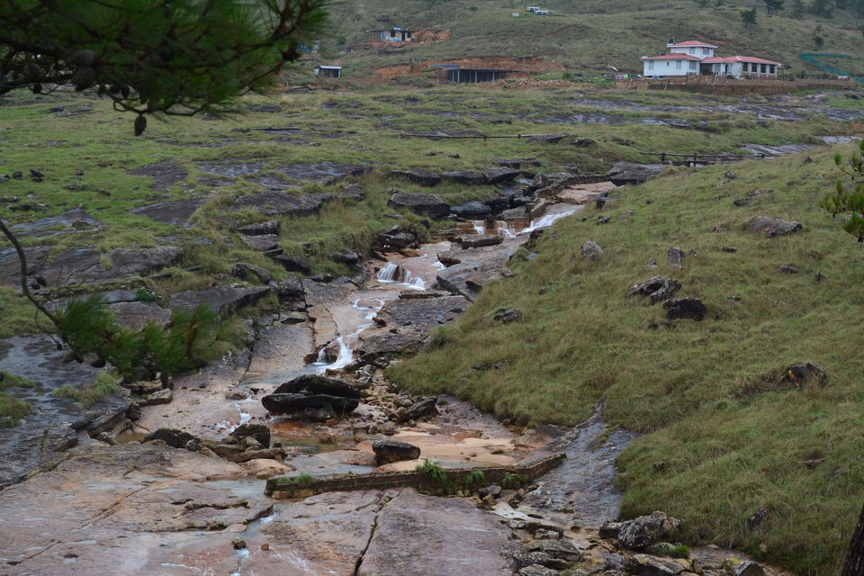 Photo of Mystical Meghalaya- journey that takes you through clouds 5/5 by Pragya Singh