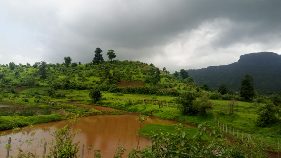 Photo of Monsoon affair with Pune : A beautiful monsoon drive to Shiva's abode in Trimbakeshwar & Bhimashanka 11/11 by Pragya Singh