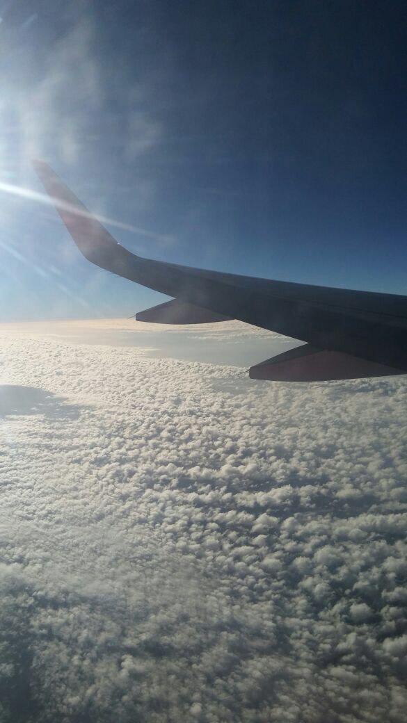 Photo of How Goa changed my views towards it by Megha Sharma