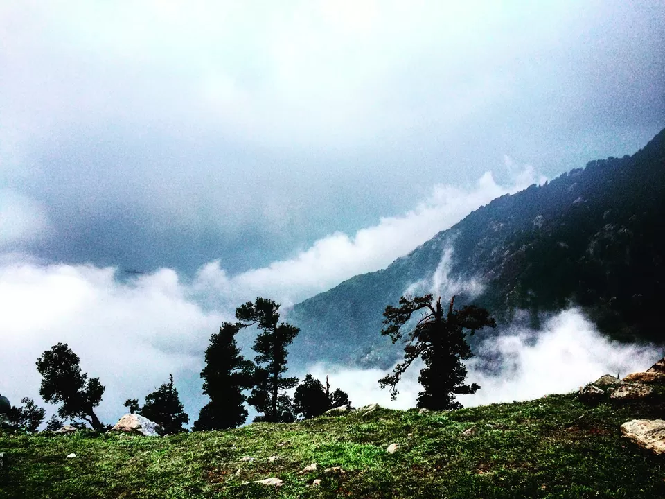 Photo of Triund, Dharamshala, Himachal Pradesh, India by That Baghi Udaan