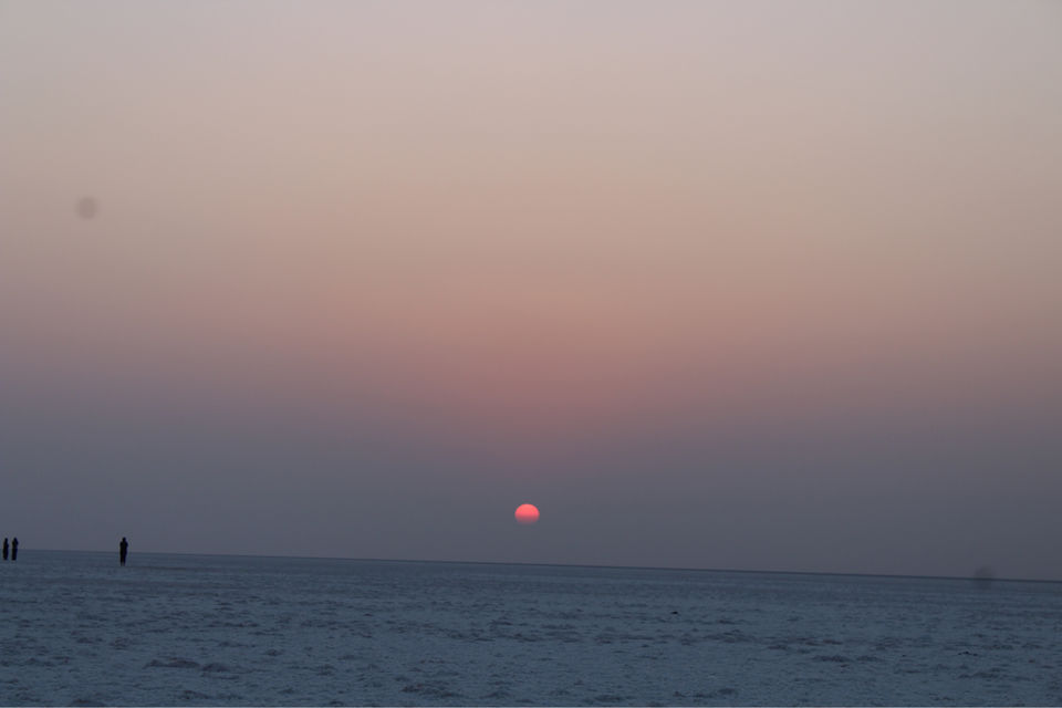 Photo of Rann of Kutch, Gujarat by foodietraveller_dharak
