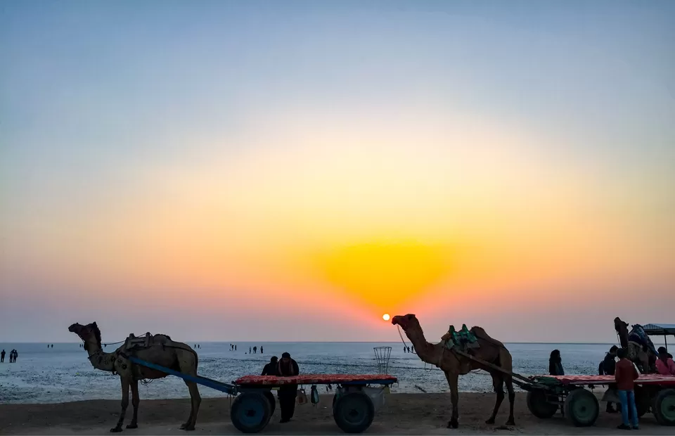 Photo of Rann of Kutch, Gujarat by foodietraveller_dharak