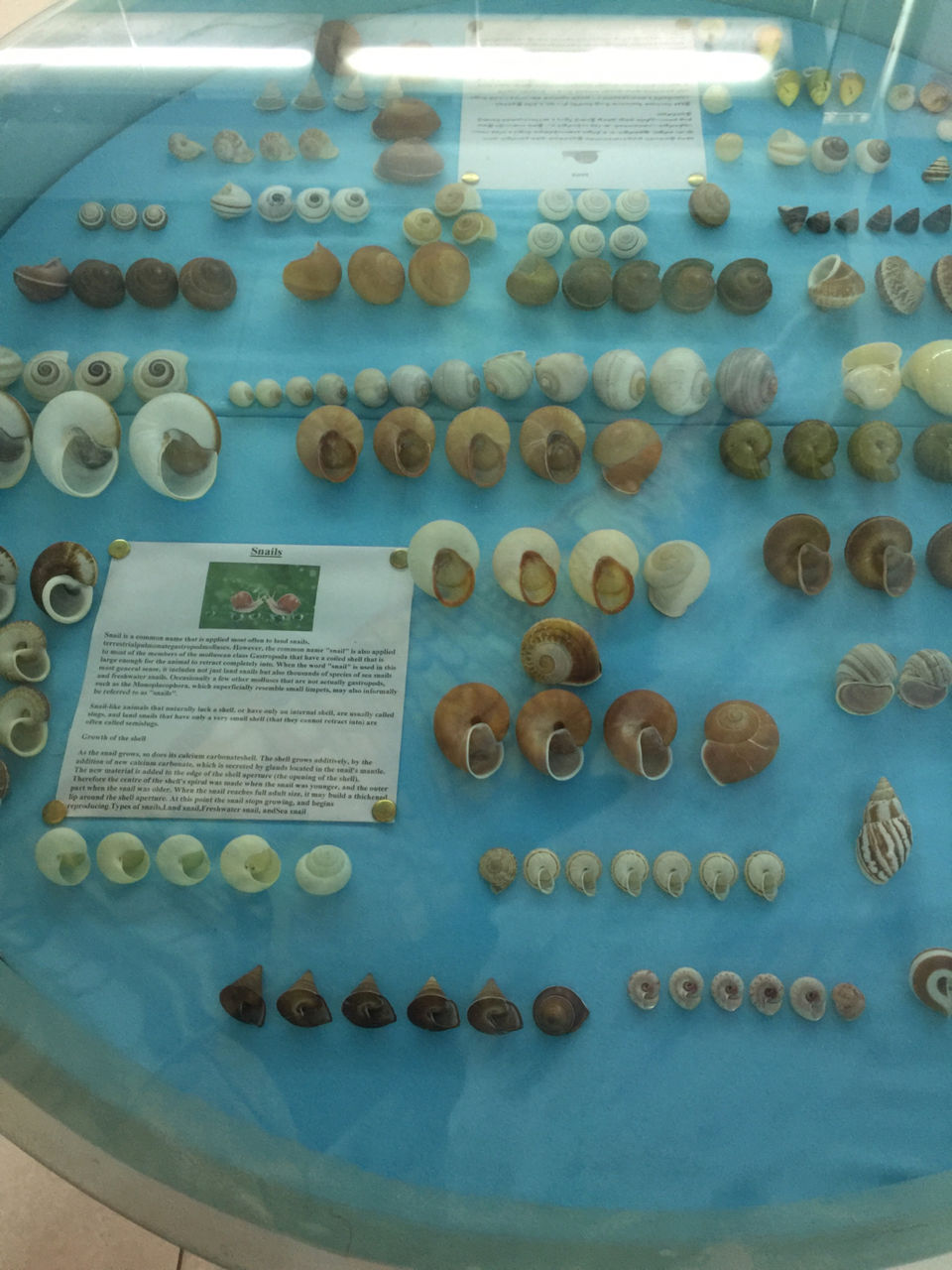 Photo of Mahabalipuram, Tamil Nadu, India by foodietraveller_dharak