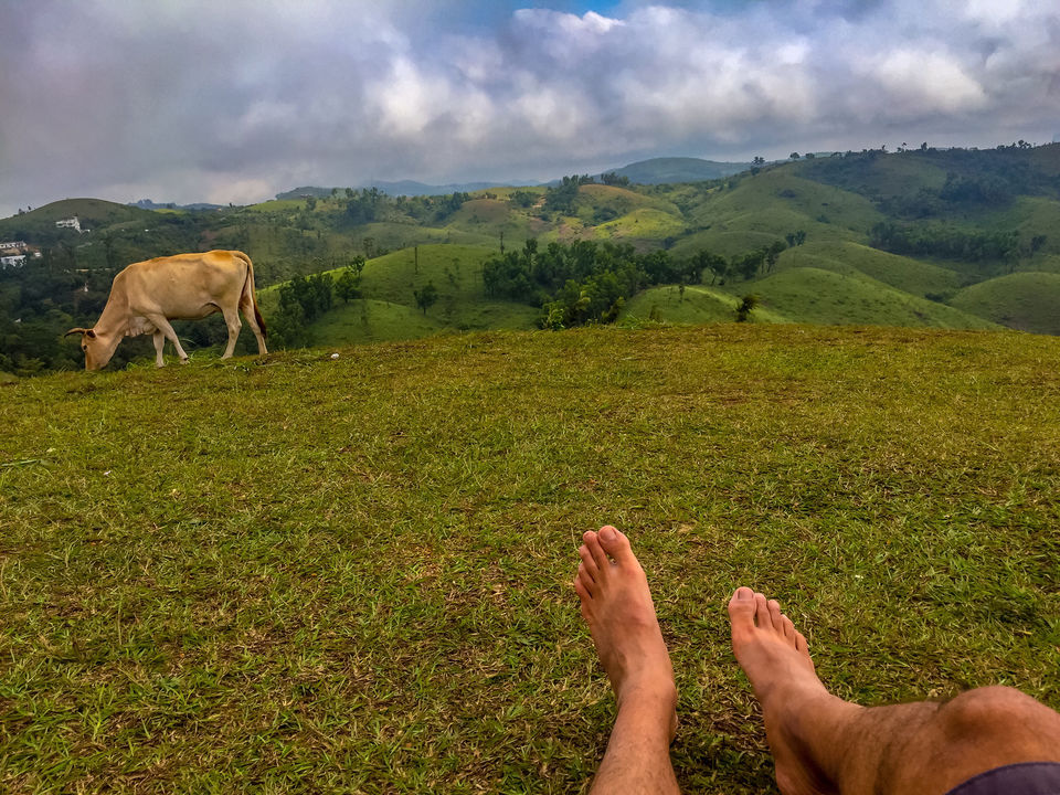 Photo of Vagamon, Kerala, India by foodietraveller_dharak