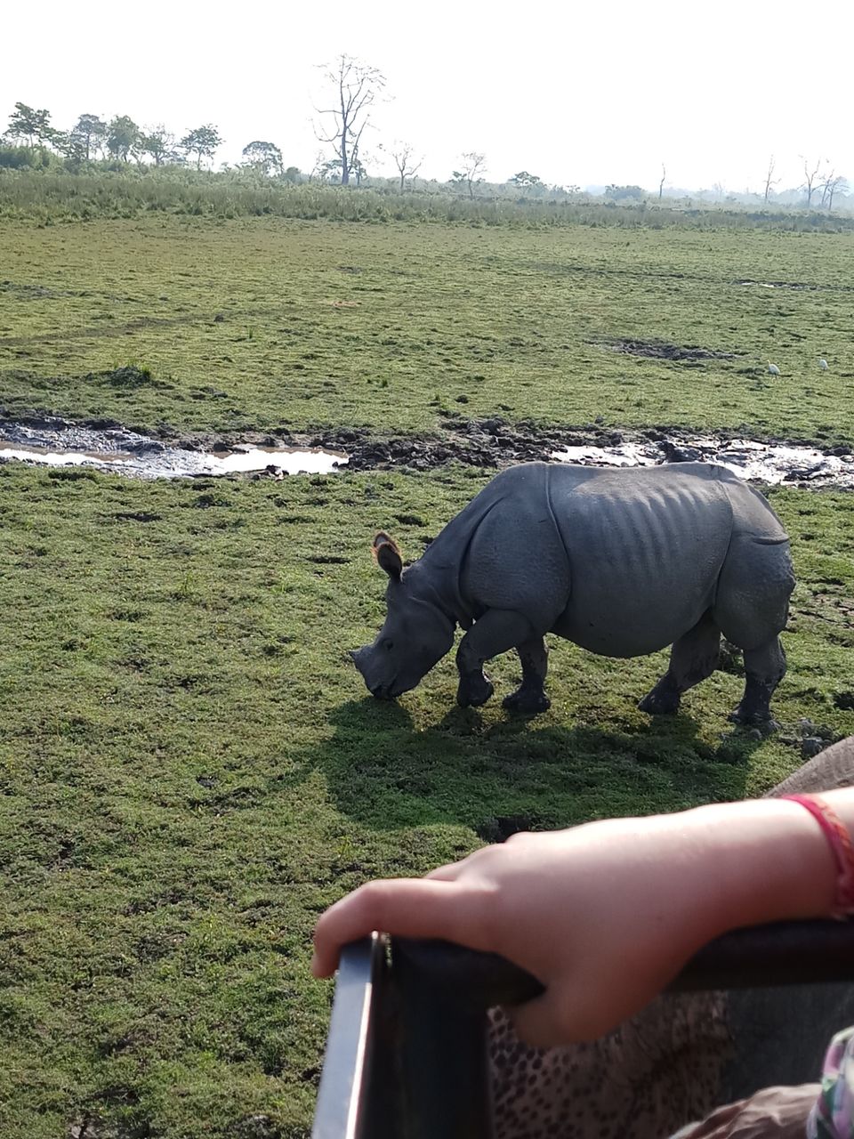 Photo of Kaziranga : into the wilderness and nature by Ramit Remo