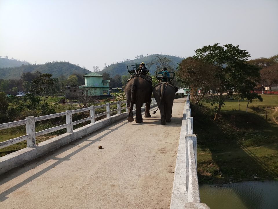 Photo of Kaziranga : into the wilderness and nature by Ramit Remo