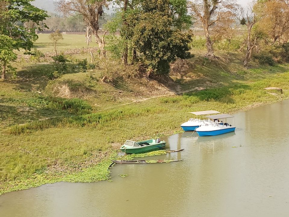 Photo of Kaziranga : into the wilderness and nature by Ramit Remo