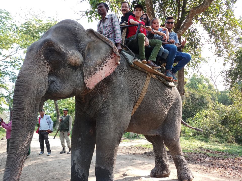 Photo of Kaziranga : into the wilderness and nature by Ramit Remo