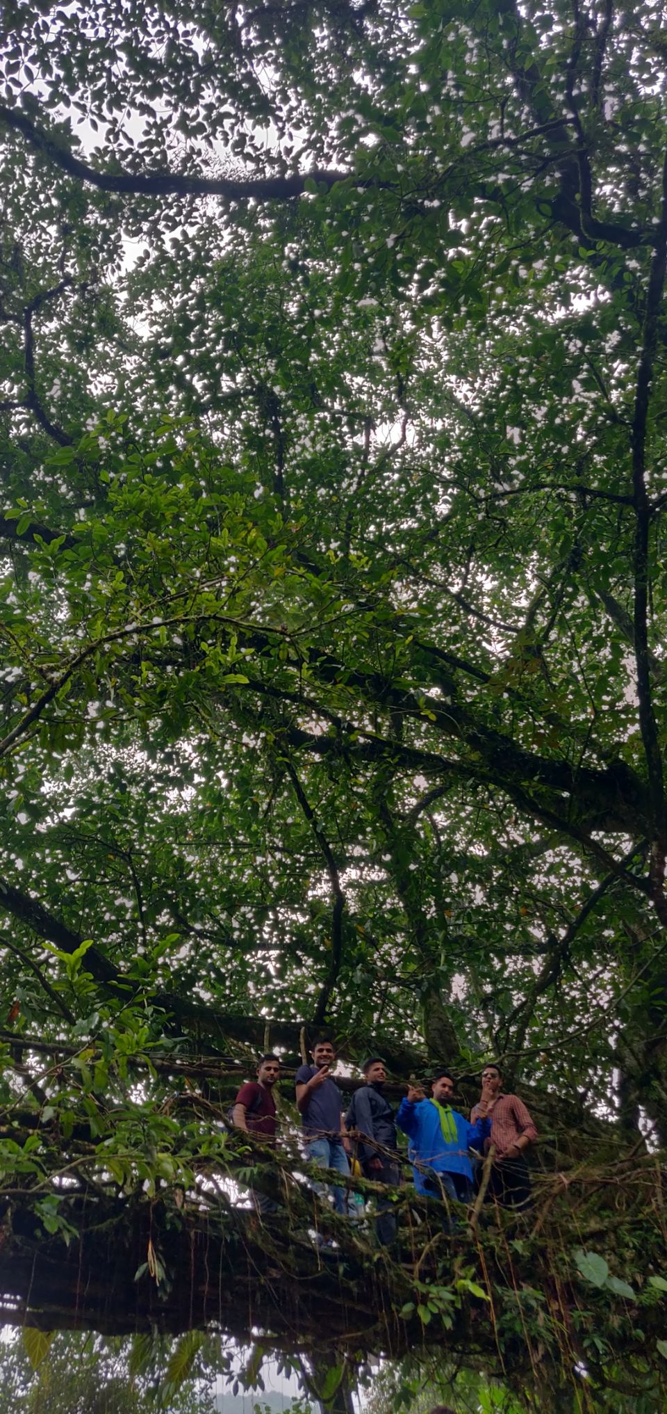 Photo of Cherrapunjee, Meghalaya, India by Ramit Remo