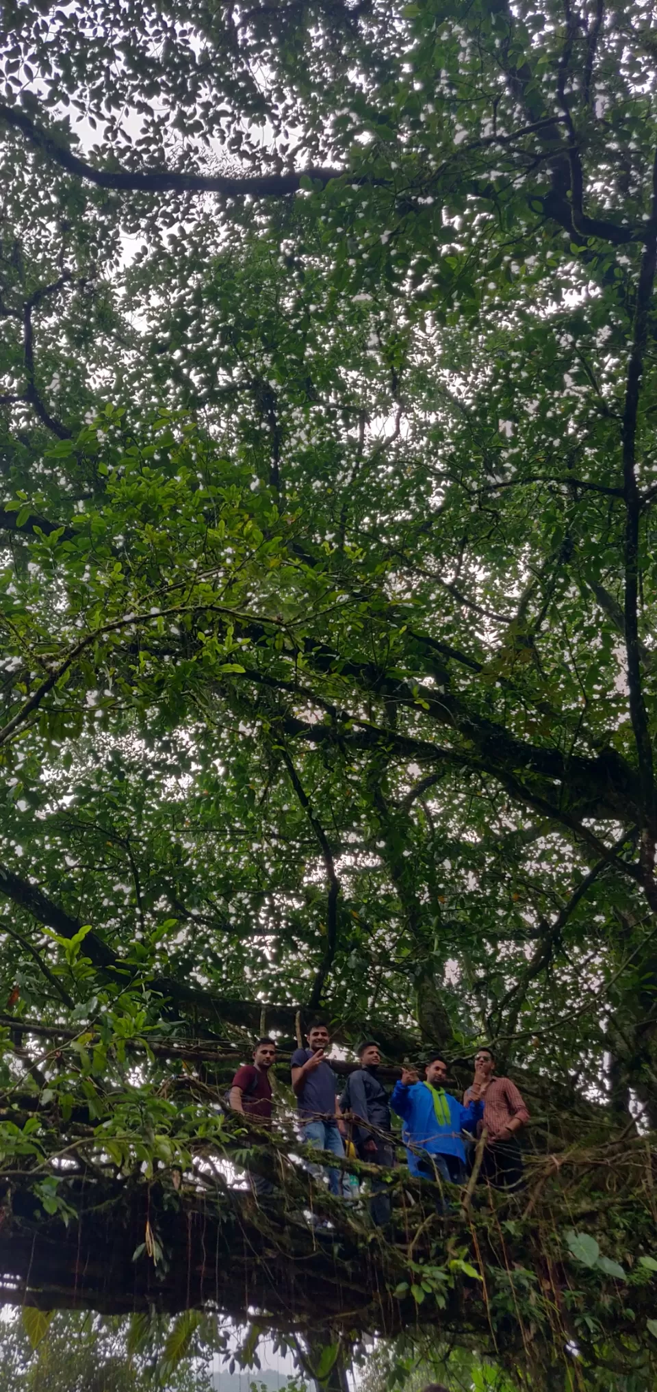 Photo of Cherrapunjee, Meghalaya, India by Ramit Remo