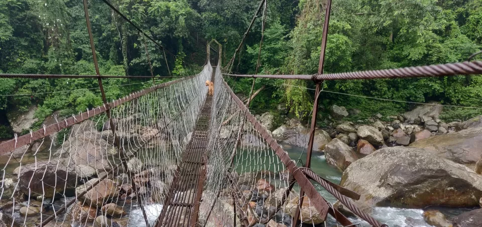 Photo of Cherrapunjee, Meghalaya, India by Ramit Remo