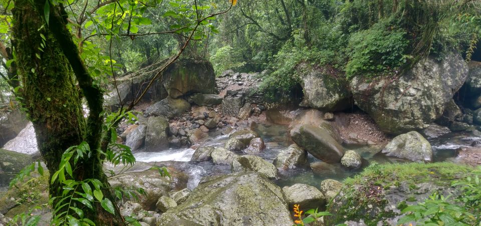 Photo of Cherrapunjee, Meghalaya, India by Ramit Remo