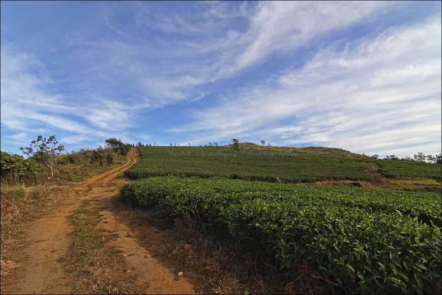 Photo of 8 Days in Kerala – Exploring Idukki with the Duke 390 2/18 by Rohit