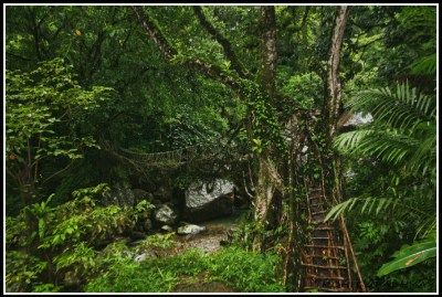 Photo of Arunachal and Meghalaya – 14 Days – A Solo Motorcycle Adventure 2/13 by Rohit